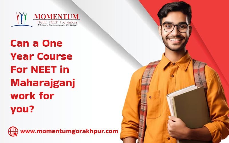 Can a One Year Course for NEET in Maharajganj Work for You?